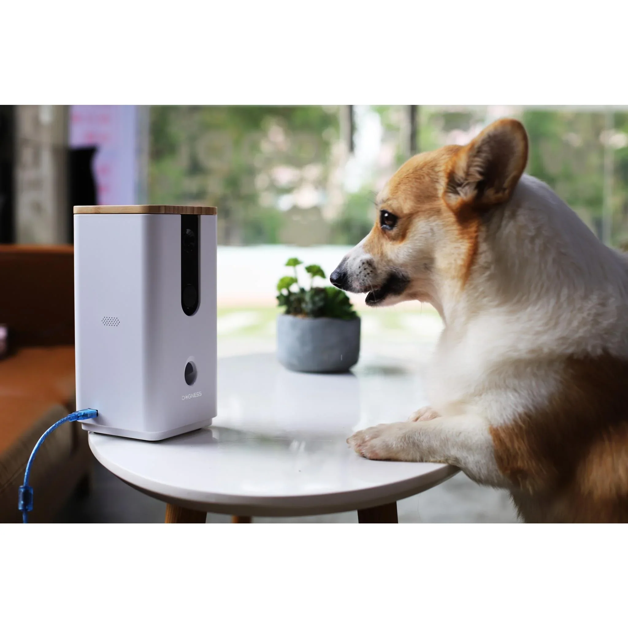 Dogness Smart Camera Treater - Image 4