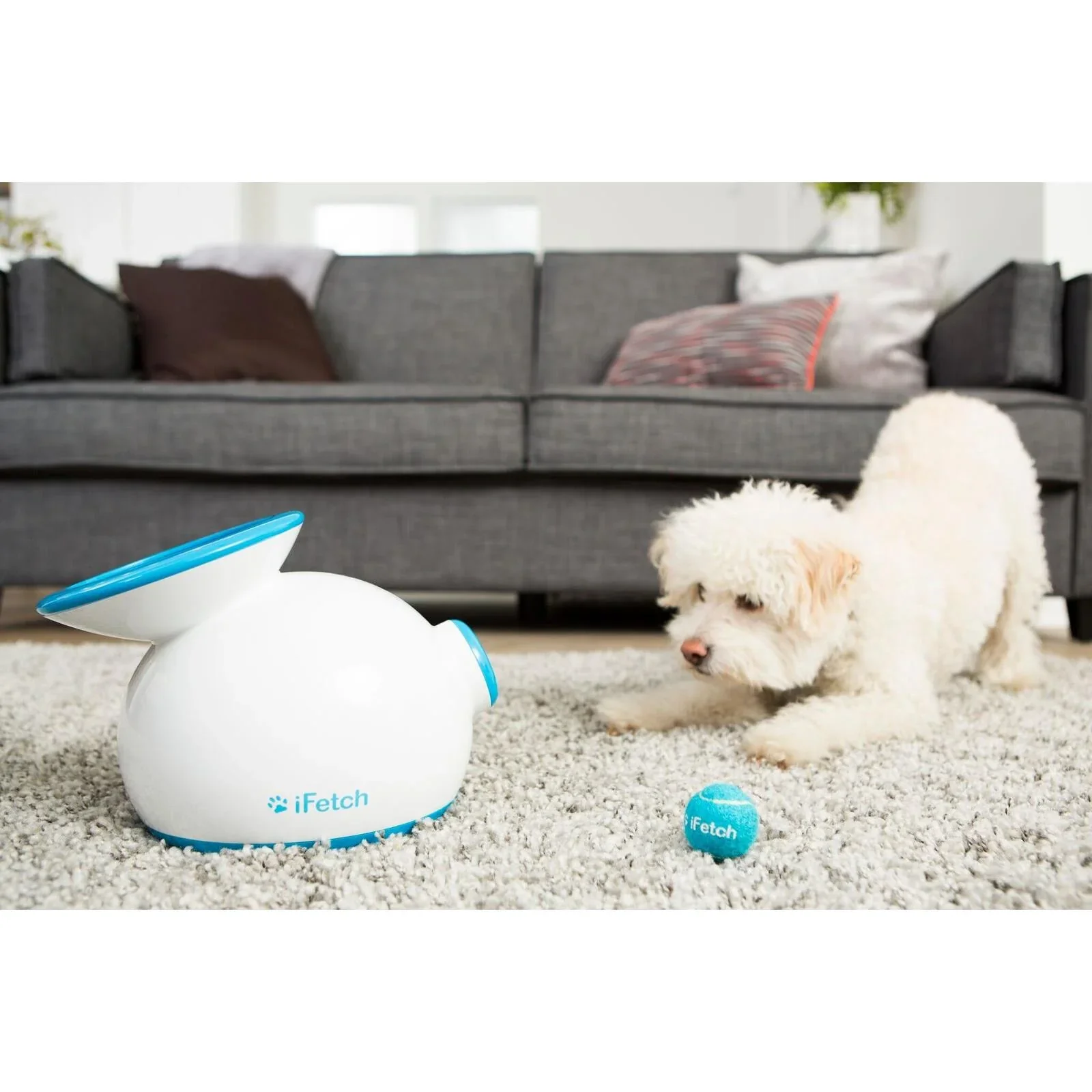 iFetch Original Ball Launcher - Image 3