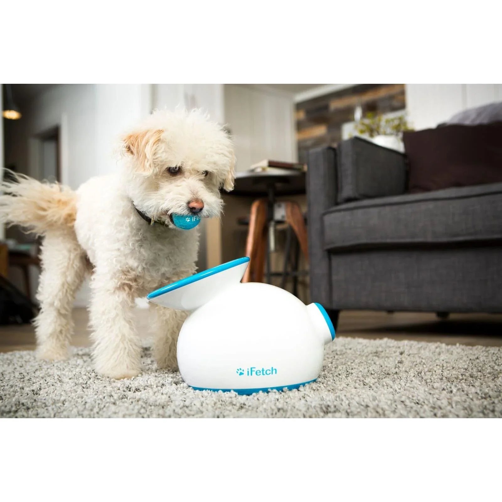 iFetch Original Ball Launcher - Image 4